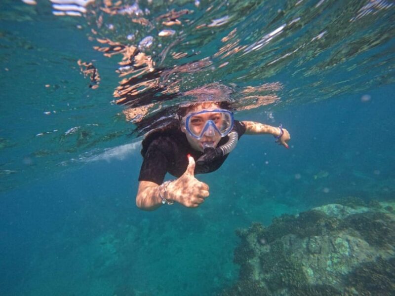 Cabo San Lucas: Reef Snorkel Experience - Preparing for the Tour
