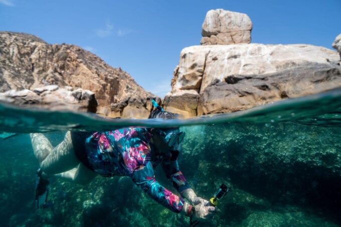 Cabo San Lucas: Reef Snorkel Experience - Memorable Moments