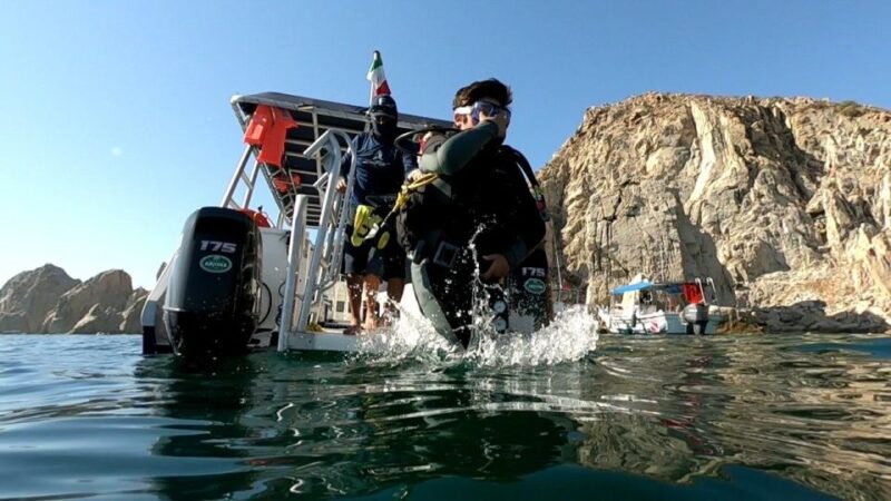 Cabo San Lucas: Scuba Diving at 2 Local Sites in Cabo Bay - Key Points