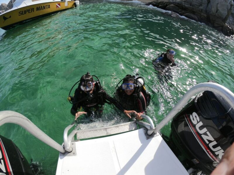 Cabo San Lucas: Scuba Diving at 2 Local Sites in Cabo Bay - Marine Life Highlights
