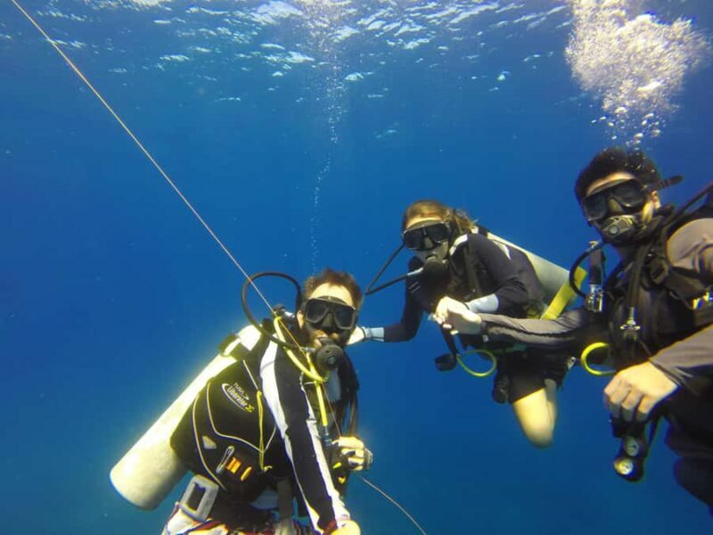 Cabo San Lucas: Scuba Diving in Cabo San Lucas Marine Park - The Sum Up