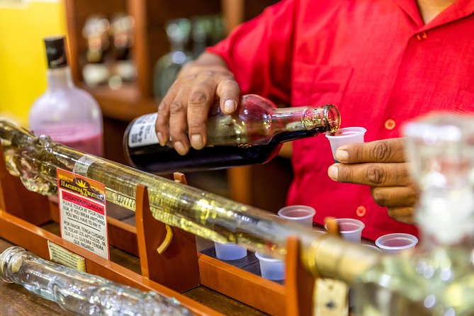 Cabo San Lucas Shopping, Tequila Tasting, and Snorkel Tour - Booking Information