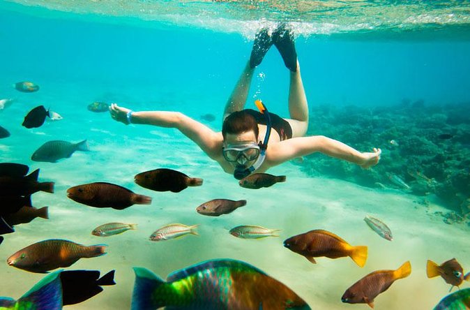 Cabo San Lucas Shopping, Tequila Tasting, and Snorkel Tour - Travelers Considerations