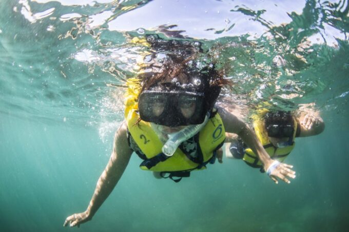 Cabo San Lucas: Snorkel, Lunch and Sail Experience - Important Considerations