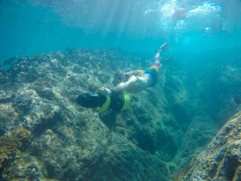 Cabo San Lucas: Snorkel, Paddle-Board, And/Or Kayak Tour - Inclusions and Fees