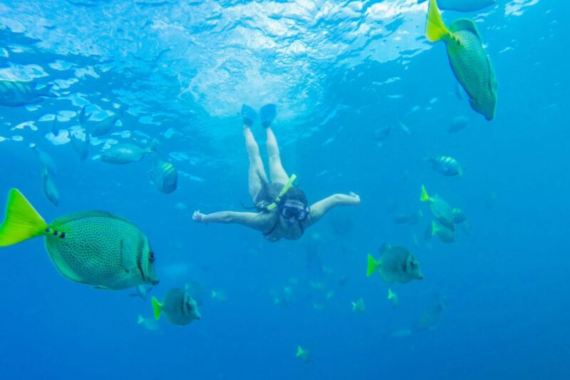 Cabo San Lucas: Snorkel, Paddle-Board, And/Or Kayak Tour - Scenic Views