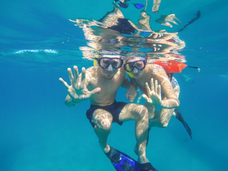 Cabo San Lucas: Snorkel Tour With Open Bar & Snacks - Key Points