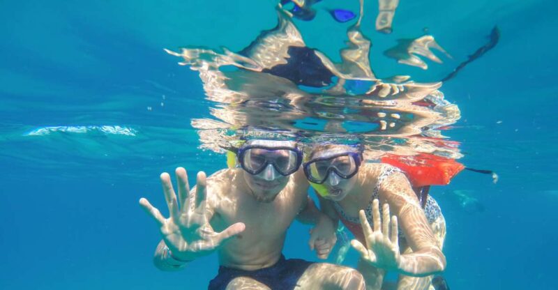 Cabo San Lucas: Snorkel Tour With Open Bar & Snacks - Tour Highlights