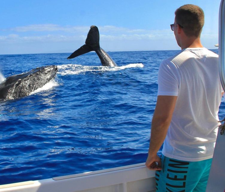 Cabo San Lucas: Snorkel Tour With Open Bar & Snacks - Meeting Information