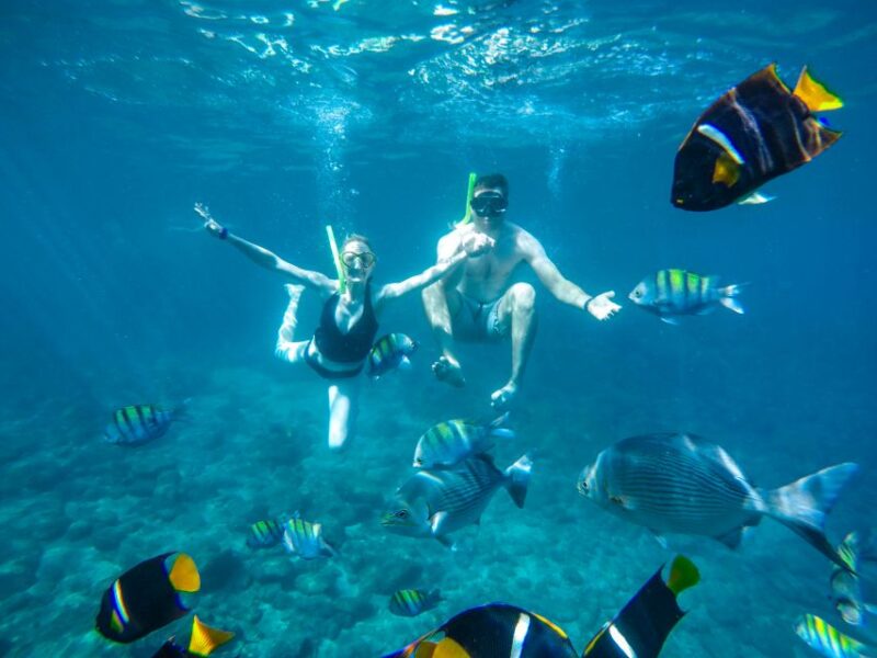 Cabo San Lucas: Snorkel Tour With Open Bar & Snacks - Customer Reviews