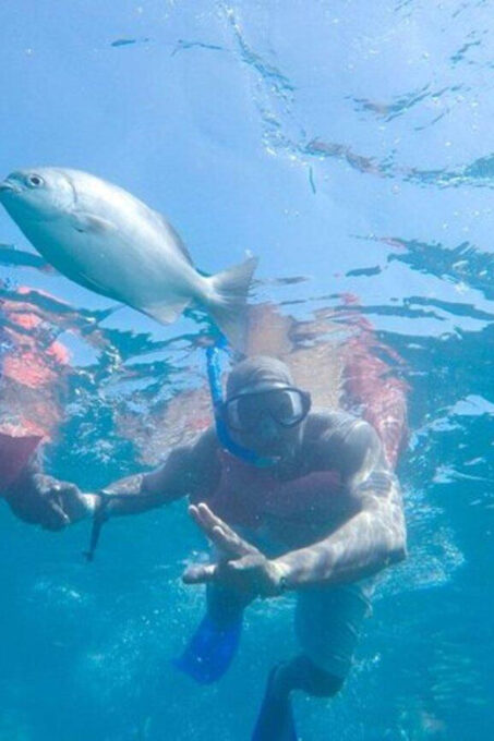 Cabo San Lucas: Snorkeling and Sailing Cruise With Lunch - Additional Information