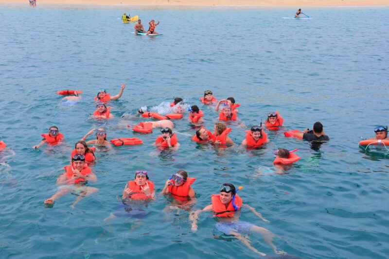 Cabo San Lucas: Snorkeling Tacos and Discovery Tour - Marine Life and Activities