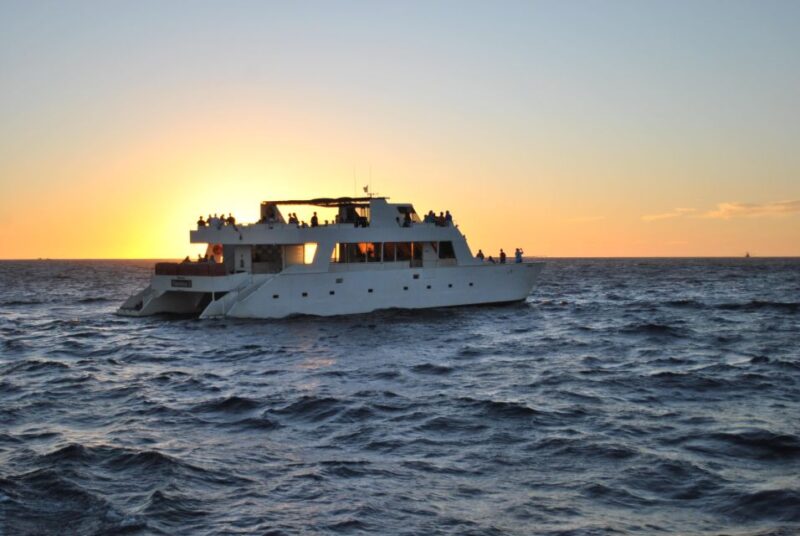 Cabo San Lucas: Sunset Dinner Cruise With Domestic Open Bar - Accessibility and Suitability