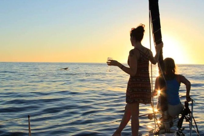 Cabo San Lucas Sunset Sailing Shared Cruise - Accessibility and Dietary Accommodations