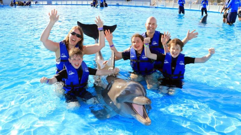 Cabo San Lucas: Swim Excursion With Dolphin Interaction - Interaction With Dolphins