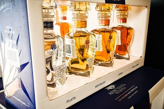 Cabo San Lucas Tequila Tasting Experience - Dedicated Tasting Guide