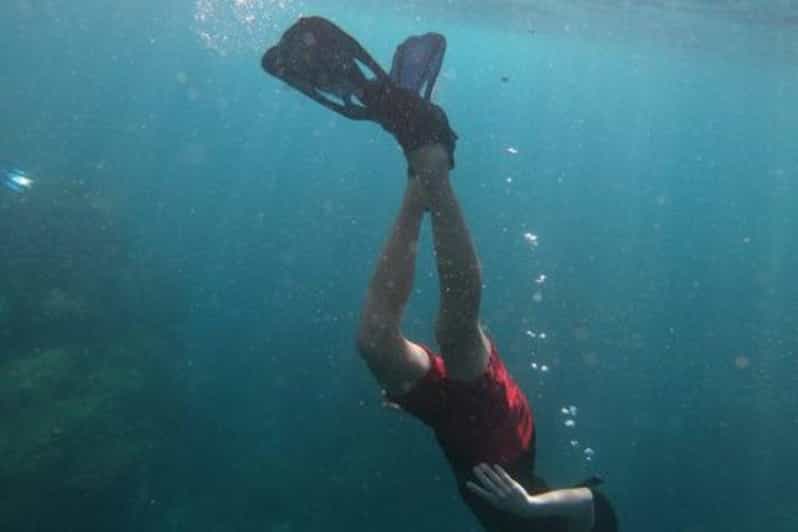 Cabo San Lucas: The Corridor Snorkeling Adventure - Experience Highlights