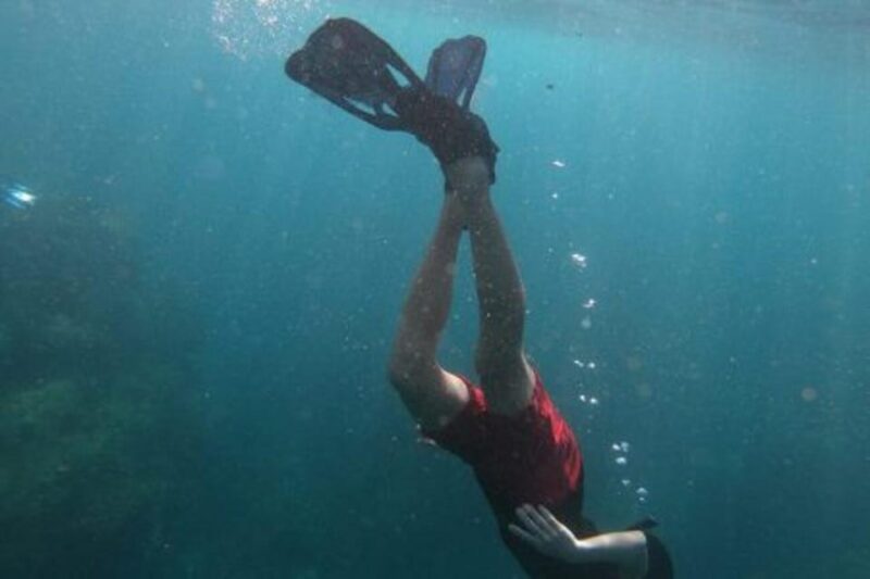 Cabo San Lucas: The Corridor Snorkeling Adventure - Meeting and Availability