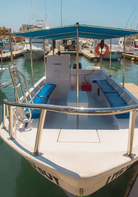 Cabo San Lucas: Tour to the Arch + Descent to a Private Beach - Experience Highlights