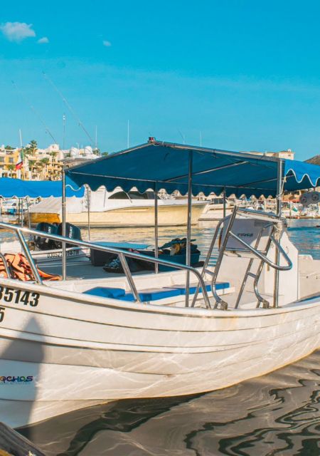 Cabo San Lucas: Tour to the Arch + Descent to a Private Beach - Frequently Asked Questions
