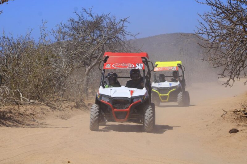 Cabo San Lucas: UTV Tour Beach Desert and Tequila Tasting - Inclusions and Fees