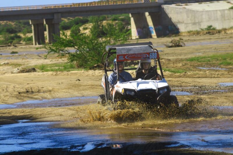 Cabo San Lucas: UTV Tour Beach Desert and Tequila Tasting - Important Information