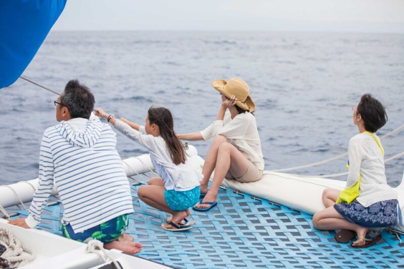 Cabo San Lucas: Whale Watching Catamaran Experience - Itinerary and Highlights