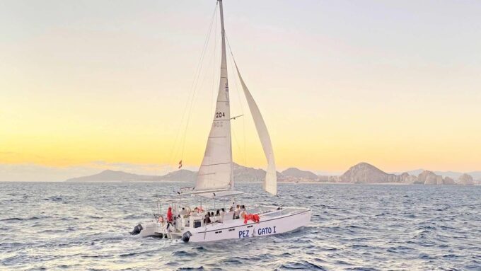 Cabo San Lucas: Whale Watching Experience on Catamaran - Tour Season and Duration