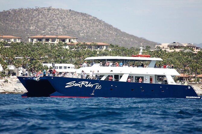Cabo San Lucas Whale Watching Lunch Cruise - Inclusions and Amenities