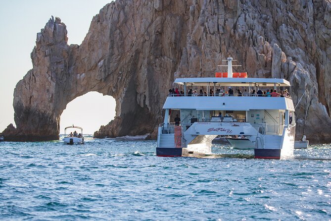 Cabo San Lucas Whale Watching Lunch Cruise - Whale Watching Opportunities