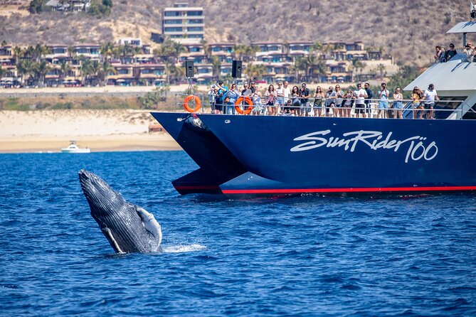 Cabo San Lucas Whale Watching Lunch Cruise - Onboard Dining and Drinks