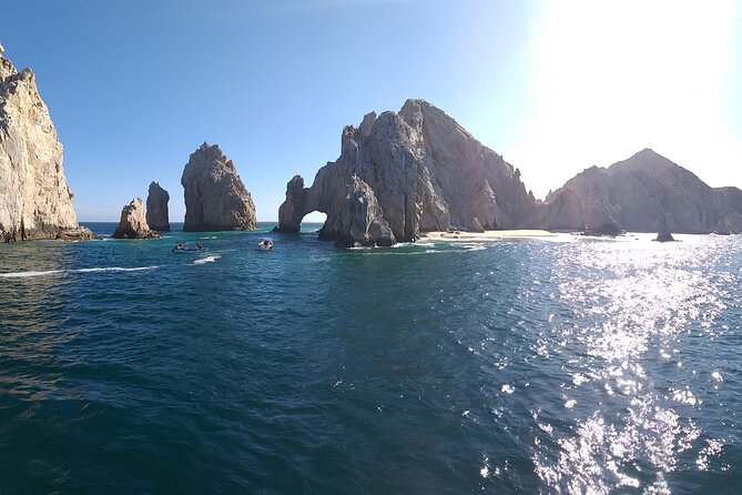 Cabo San Lucas Whale Watching Tour All Included - Booking Information