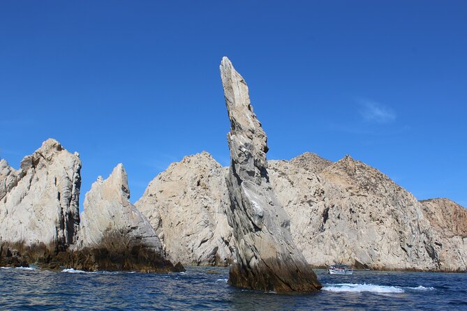 Cabo San Lucas Whale Watching Tour All Included - Pricing Details