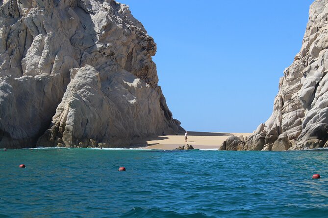 Cabo San Lucas Whale Watching Tour All Included - Frequently Asked Questions