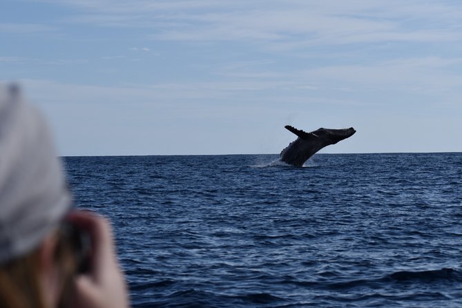 Cabo San Lucas Whale Watching Tour With Photos Included - Photography During the Tour