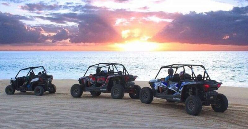 Cabo: Sunset Camel Ride and ATV Combo Adventure - Key Points