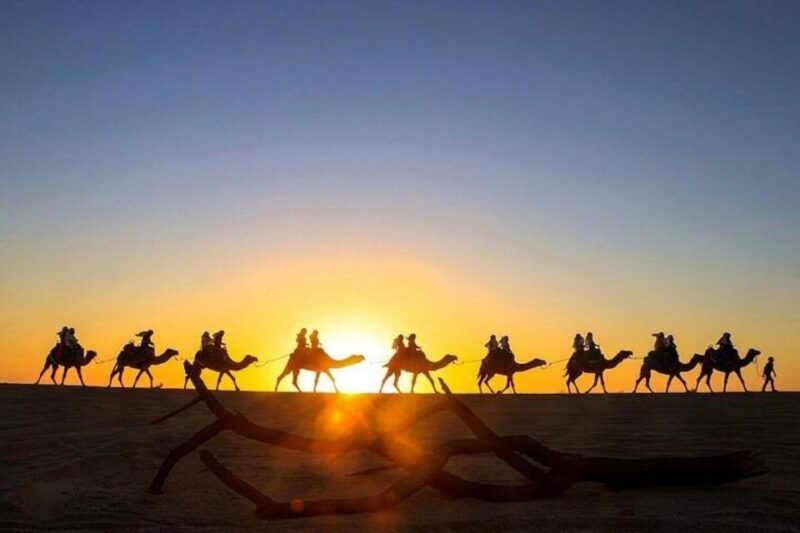 Cabo: Sunset Camel Ride and ATV Combo Adventure - Adventure Highlights