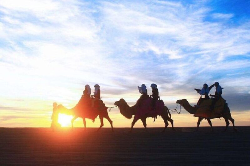 Cabo: Sunset Camel Ride and ATV Combo Adventure - Authentic Mexican Dinner
