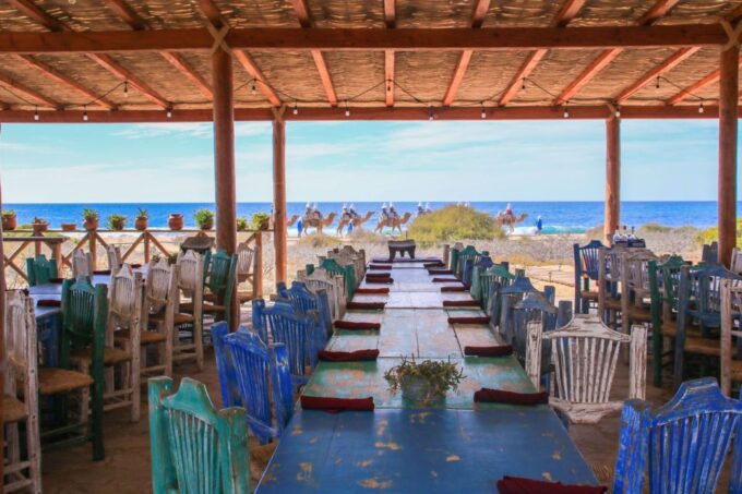 Cabo: Todos Santos Tour With Camel Ranch, Tequila, and Lunch - Customer Feedback