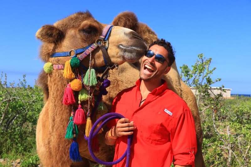 Cabo : UTV and Camel Ride in the Desert - Key Points