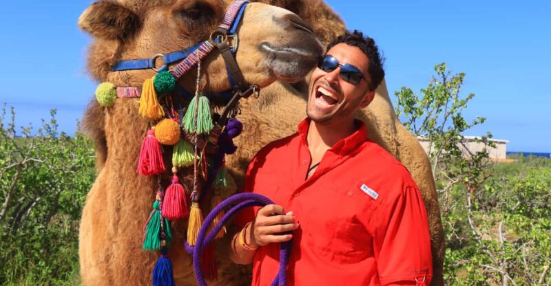 Cabo : UTV and Camel Ride in the Desert - Transportation and Itinerary