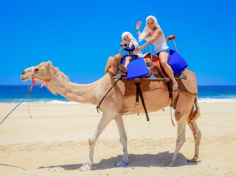 Cabo : UTV and Camel Ride in the Desert - Inclusions