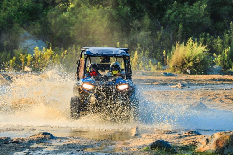 Cabo : UTV and Camel Ride in the Desert - Preparation and Restrictions