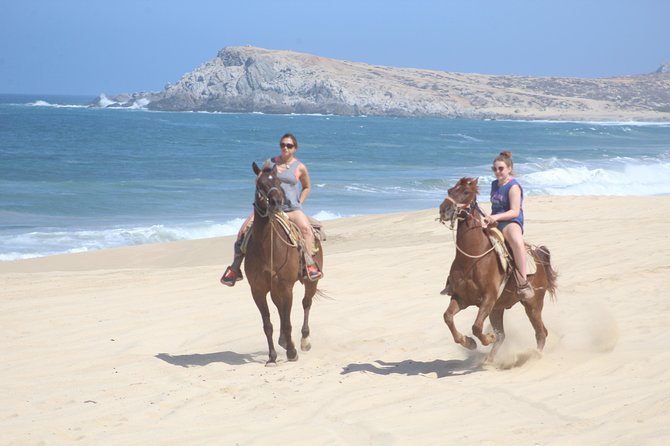Cabo White Sand Horseback Riding Tour and Tequila Tasting - Key Points