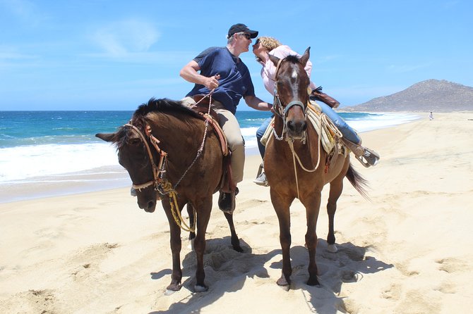 Cabo White Sand Horseback Riding Tour and Tequila Tasting - Included in the Tour