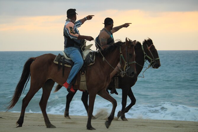 Cabo White Sand Horseback Riding Tour and Tequila Tasting - Group Size and Restrictions