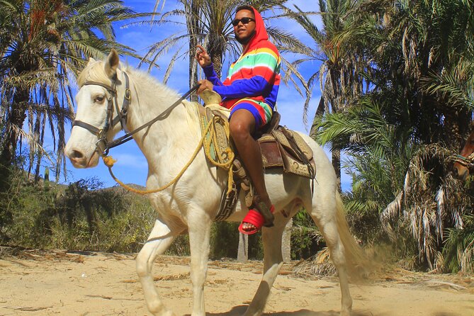 Cabo White Sand Horseback Riding Tour and Tequila Tasting - Cancellation Policy