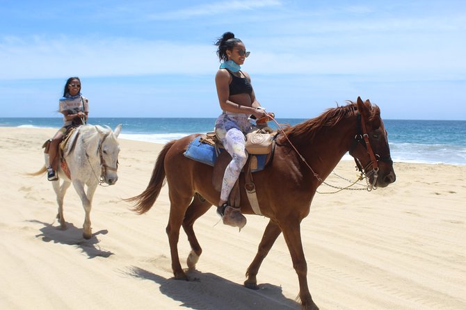 Cabo White Sand Horseback Riding Tour and Tequila Tasting - Tequila Tasting Experience
