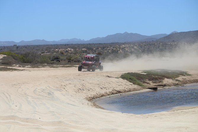 Cabo Wild Desert Tour, Polaris ATV or Razor Single, Double, Triple or Quad! - Exploring the Desert