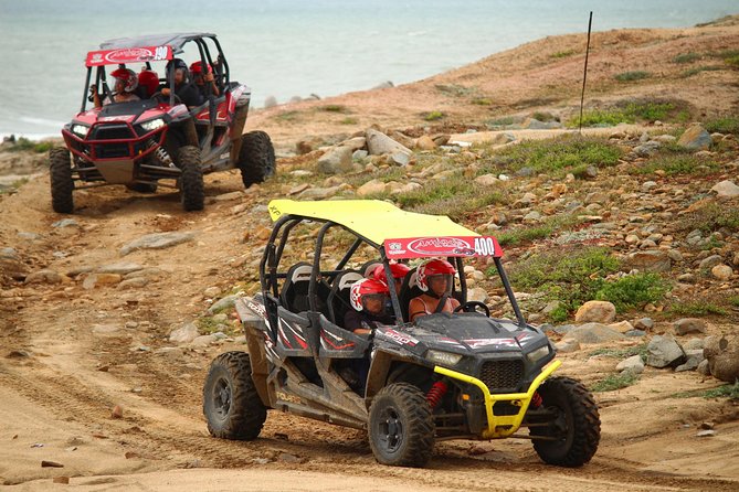 Cabo Wild Desert Tour, Polaris ATV or Razor Single, Double, Triple or Quad! - Frequently Asked Questions